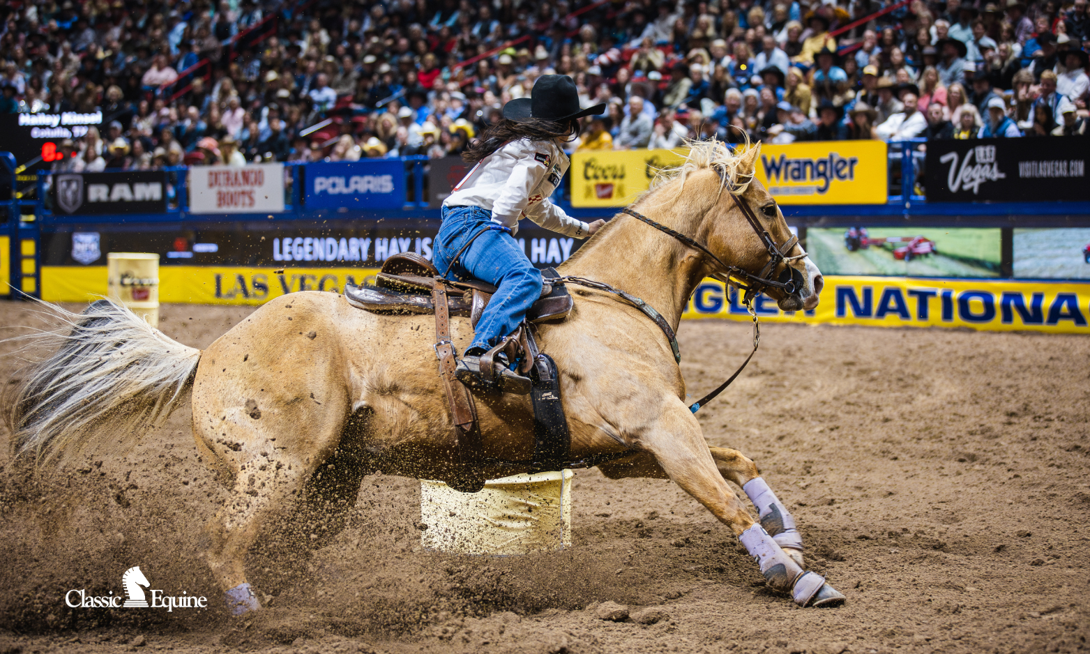 >Hailey Kinsel, 4X World Champion Barrel Racer, wearing Classic Equine DyNo Turn bell boots
